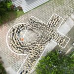 DJI_0771 3