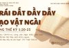 Trái Đất Đầy Dẫy Tạo Vật Ngài – 23/9/2025