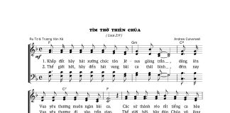 Bài hát Giáng sinh: TÌM THỜ THIÊN CHÚA