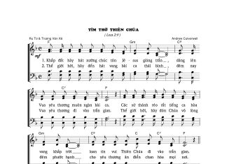 Bài hát Giáng sinh: TÌM THỜ THIÊN CHÚA