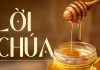 Thơ: LỜI CHÚA
