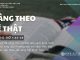 Vâng Theo Lẽ Thật – 16/10/2025