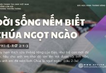 Đời Sống Nếm Biết Chúa Ngọt Ngào – 17/10/2025