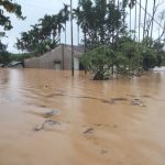23.Khu vực Tân Hiệp (nước chưa rút hết)