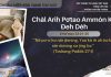 Chăl Arih Pơtao Ammôn Kơ Đeh Dêh – 28/10/2025