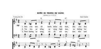 Bài hát: BƯỚC ĐI TRONG SỰ SÁNG