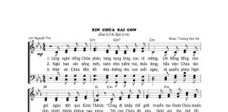 Bài hát: XIN CHÚA SAI CON
