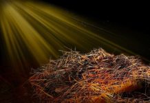 CHÚA VÀO ĐỜI: LỜI XÁC QUYẾT CỨU RỖI TUYỆT ĐỐI (I Ti-mô-thê 1:15)