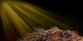 CHÚA VÀO ĐỜI: LỜI XÁC QUYẾT CỨU RỖI TUYỆT ĐỐI (I Ti-mô-thê 1:15)