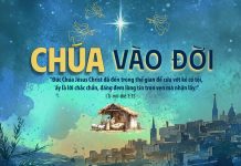 Phông Gợi Ý Lễ Giáng Sinh 2025