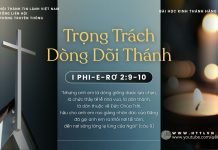 Trọng Trách Dòng Dõi Thánh – 14/11/2025