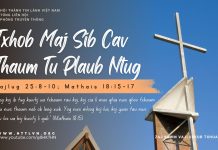 Txhob Maj Sib Cav Thaum Tu Plaub Ntug – 16/11/2025