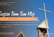 Txojsia Tiam Tom Ntej – 17/11/2025