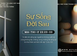 Sự Sống Đời Sau – 17/11/2025
