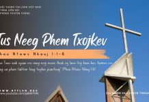 Tus Neeg Phem Txojkev – 20/11/2025