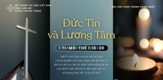Đức Tin và Lương Tâm – 21/11/2025