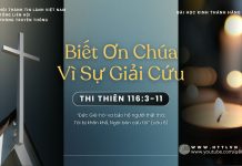 Biết Ơn Chúa Vì Sự Giải Cứu – 4/11/2025