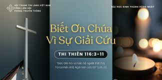 Biết Ơn Chúa Vì Sự Giải Cứu – 4/11/2025