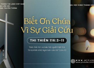 Biết Ơn Chúa Vì Sự Giải Cứu – 4/11/2025