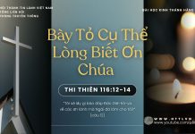 Bày Tỏ Cụ Thể Lòng Biết Ơn Chúa – 5/11/2025