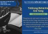 Tơdrong Bơnê Kơ Kră Yang – 8/11/2025