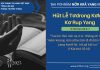 Hŭt Lê̆ Tơdrong Kơkuh Kơ Rup Yang – 24/11/2025