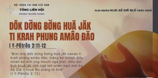 Dôk Dơ̆ng Ƀơ̆ng Huă Jăk Ti Krah Phung Amâo Đăo – 15/11/2025