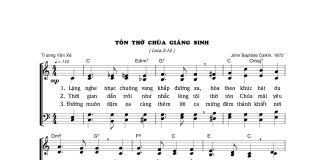 Bài hát: TÔN THỜ CHÚA GIÁNG SINH