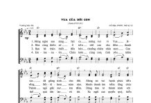 Bài hát Giáng sinh: VUA CỦA ĐỜI CON