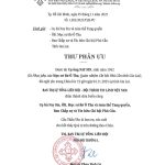 cu-ong-nay-sin-2
