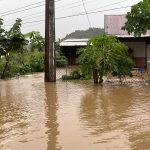 z7250884181645_d8fa18ce1a750c80ab56bb615826b5b9