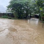 z7250884189467_675b54c9477ab583737d1a338c8ad140