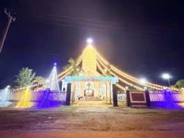 Tin Vui Mùa Giáng Sinh