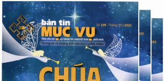 BẢN TIN MỤC VỤ SỐ 109: CHÚA VÀO ĐỜI