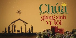 Thơ: CHÚA GIÁNG SINH VÌ TÔI