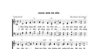 Bài hát: GIÁNG SINH ÊM ĐỀM