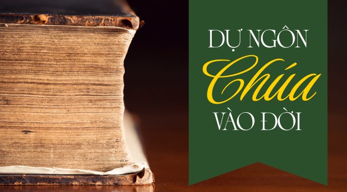 Thơ: DỰ NGÔN CHÚA VÀO ĐỜI