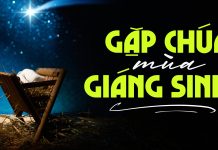 Thơ: GẶP CHÚA MÙA GIÁNG SINH