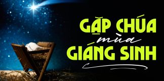 Thơ: GẶP CHÚA MÙA GIÁNG SINH