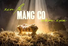 Thơ: XIN LÀ MÁNG CỎ NĂM XƯA