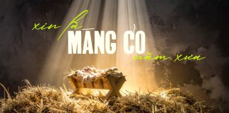 Thơ: XIN LÀ MÁNG CỎ NĂM XƯA