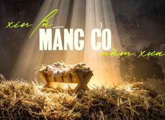 Thơ: XIN LÀ MÁNG CỎ NĂM XƯA