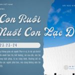 Lọc Con Ruồi Mà Nuốt Con Lạc Đà – 16/1/2026