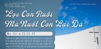 Lọc Con Ruồi Mà Nuốt Con Lạc Đà – 16/1/2026