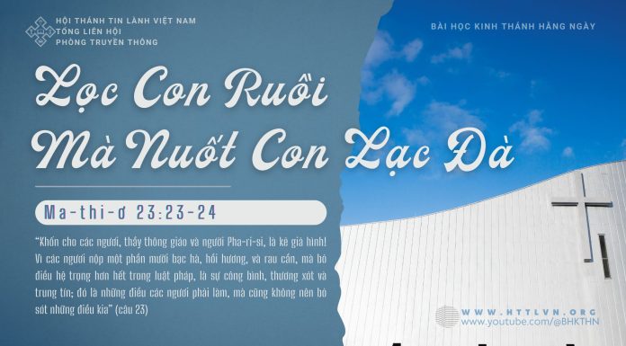 Lọc Con Ruồi Mà Nuốt Con Lạc Đà – 16/1/2026
