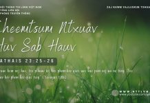Cheemtsum Ntxuav Huv Sab Hauv – 17/1/2026