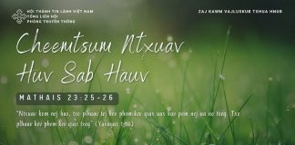 Cheemtsum Ntxuav Huv Sab Hauv – 17/1/2026