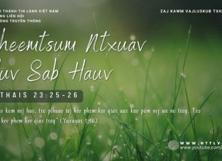 Cheemtsum Ntxuav Huv Sab Hauv – 17/1/2026