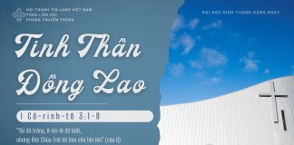 Tinh Thần Đồng Lao – 20/1/2026