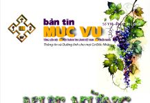 Bài hát chủ đề BTMV 110: VUI MỪNG TRỌN VẸN